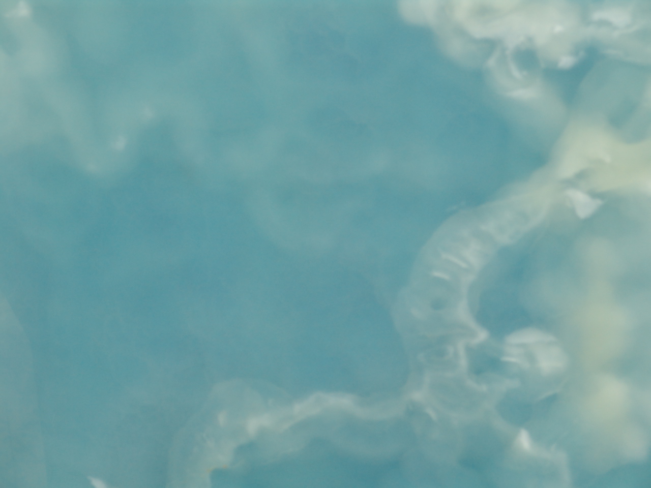 Marmi pregiati - Onice blu