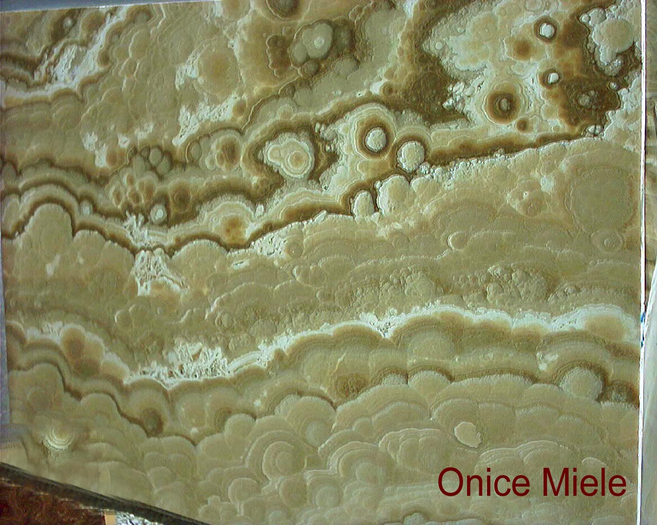Archivio MDC · Onice Miele